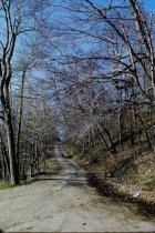 Looking up old beach road